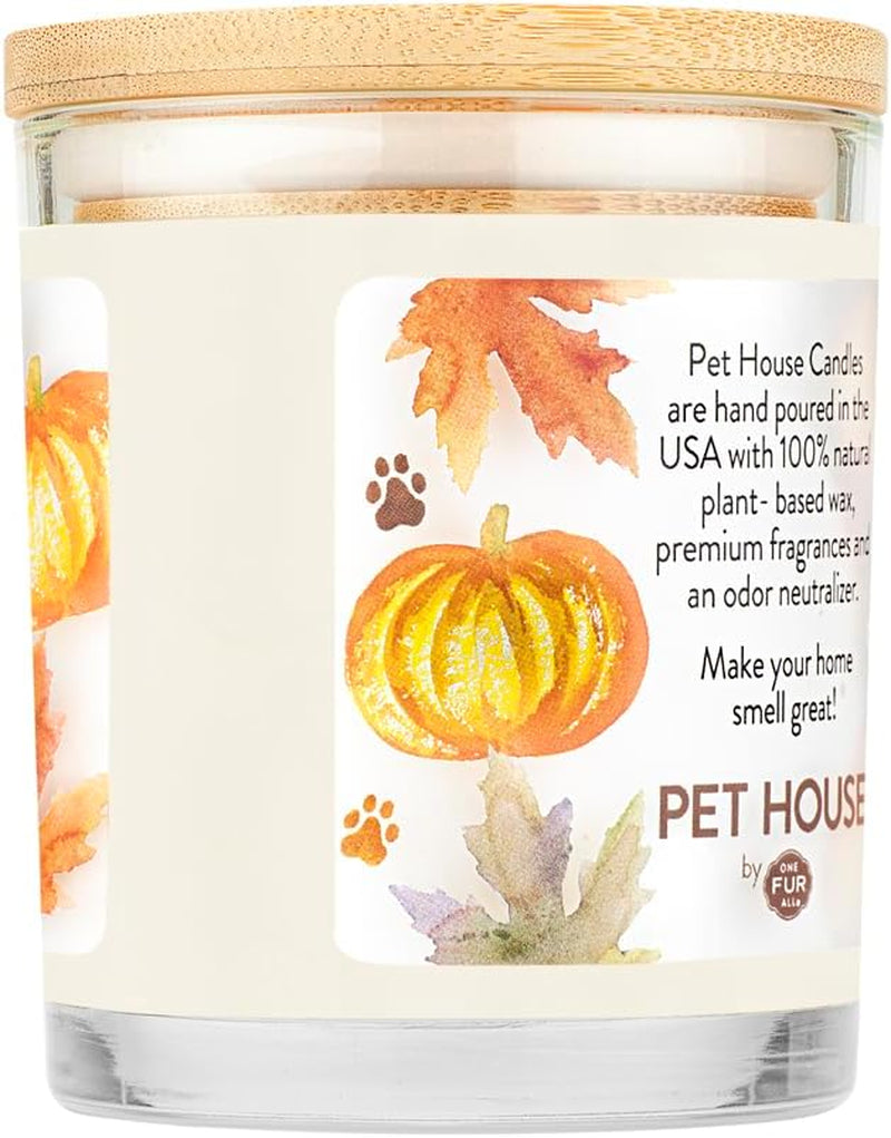 Pet House Pumpkin Pie Scented Candle 2 Pack - Plant-Based/Soy, Long Lasting, Odor Eliminating