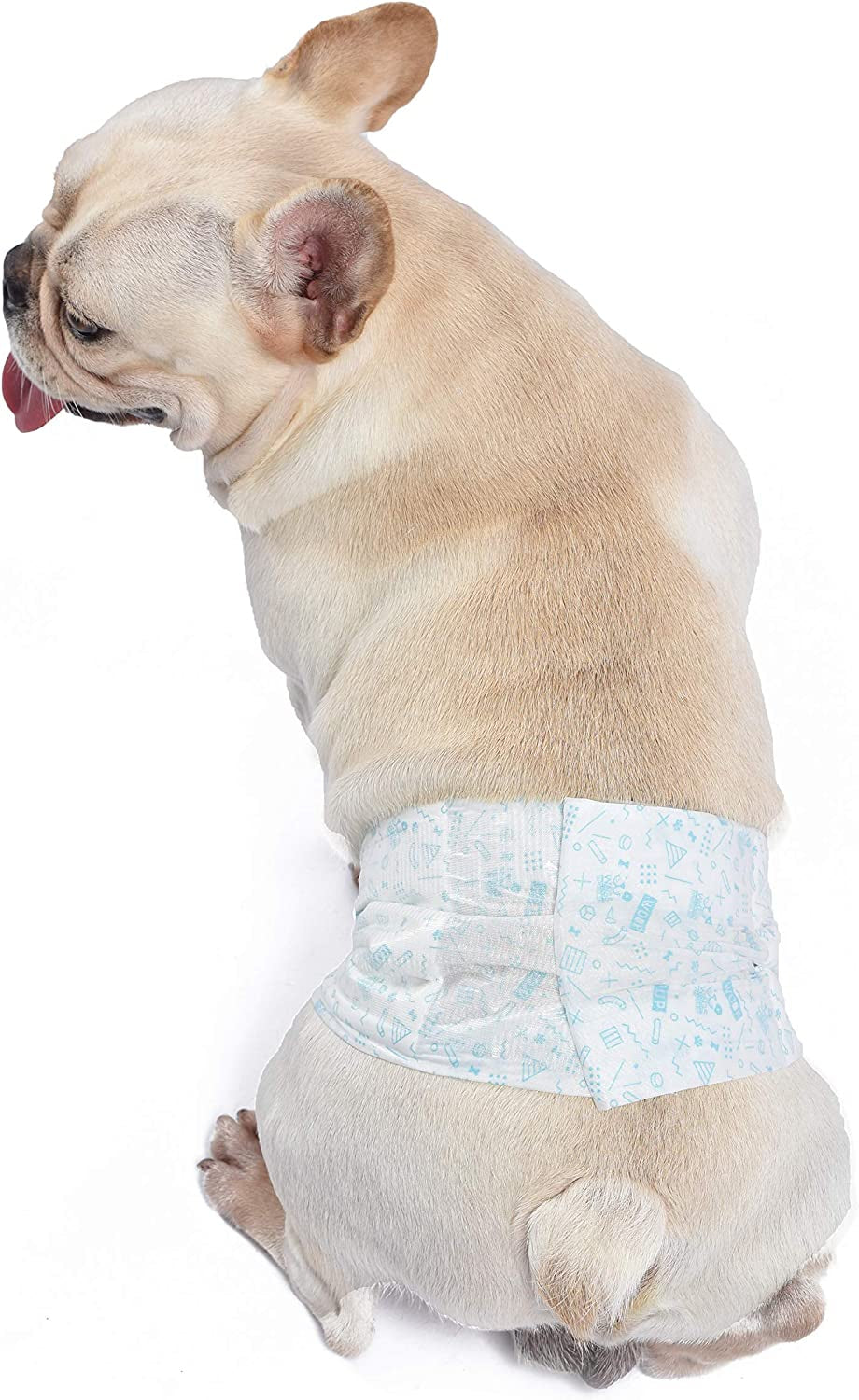 Male Wraps for Large Dogs | Disposable Male Dog Diapers | for Dogs with 18" to 27" Waist | Disposable Dog Diapers for Male Dogs (Pack of 1,12 Count Total)