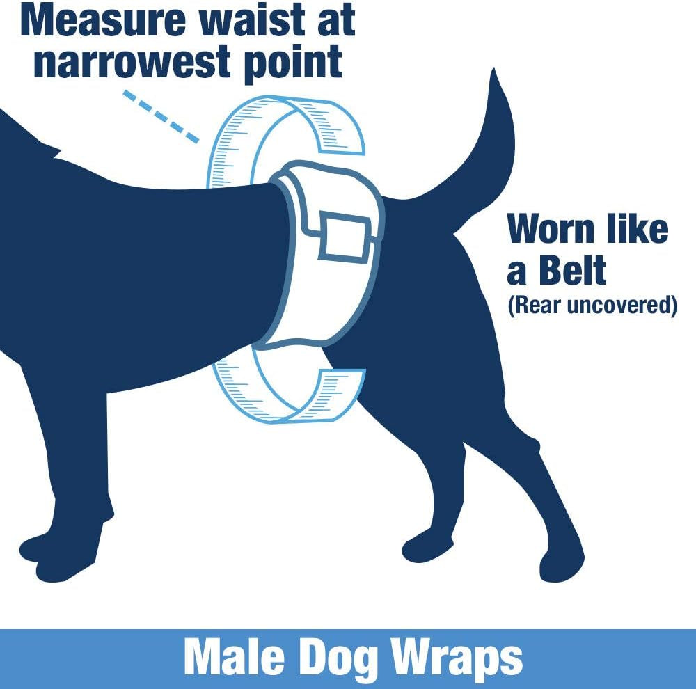 Male Wraps, Disposable Dog Diapers, Carbon, 1-Tab Medium, 72 Count - Activated Charcoal, Snag-Free Fastener, Leak Protection, Wetness Indicator
