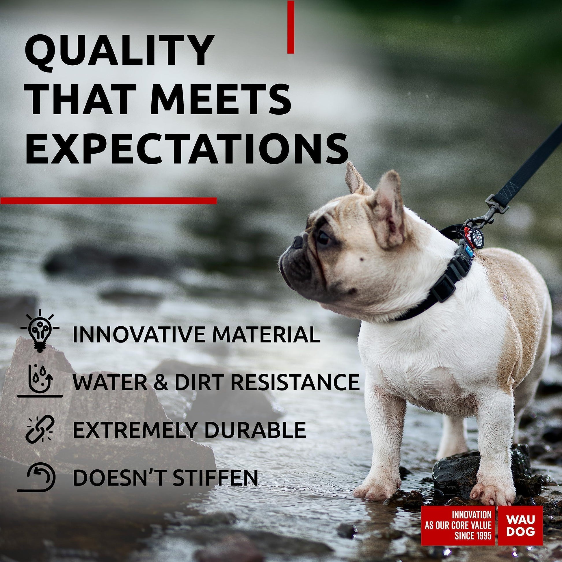 Black Waterproof Dog Collar Adjustable for Medium Dogs 1016 Inch Neck