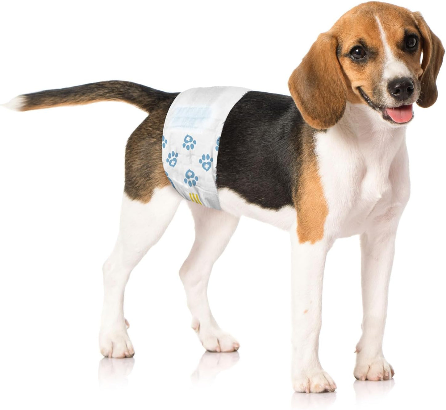 Male Wraps, Disposable Dog Diapers, Carbon, 1-Tab Medium, 72 Count - Activated Charcoal, Snag-Free Fastener, Leak Protection, Wetness Indicator