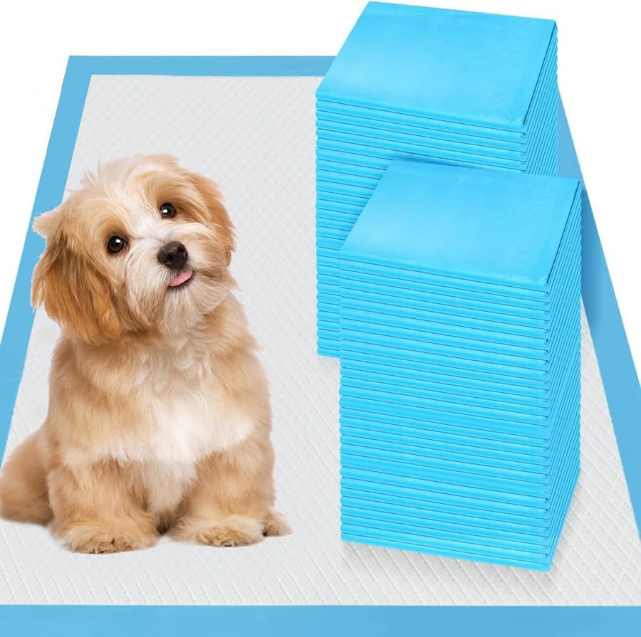 Goofypet 22" X 22" 100 Pcs Premium Disposable Training Pads, Dog Pee Pads, Puppy Pee Pads
