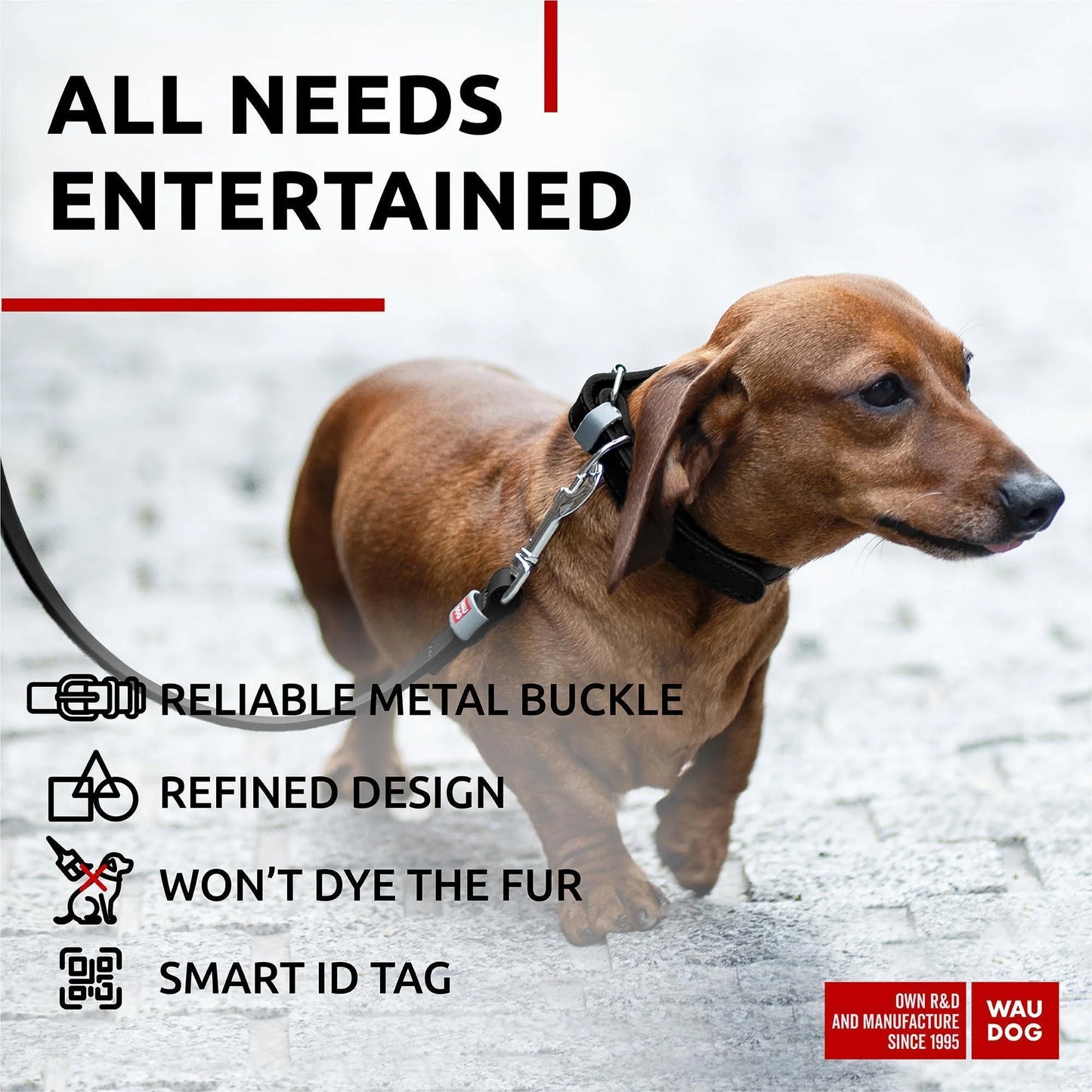 Black Long Lasting Leather Dog Collar for Xsmall Dogs 811 Inch Neck X 0.5 Inch