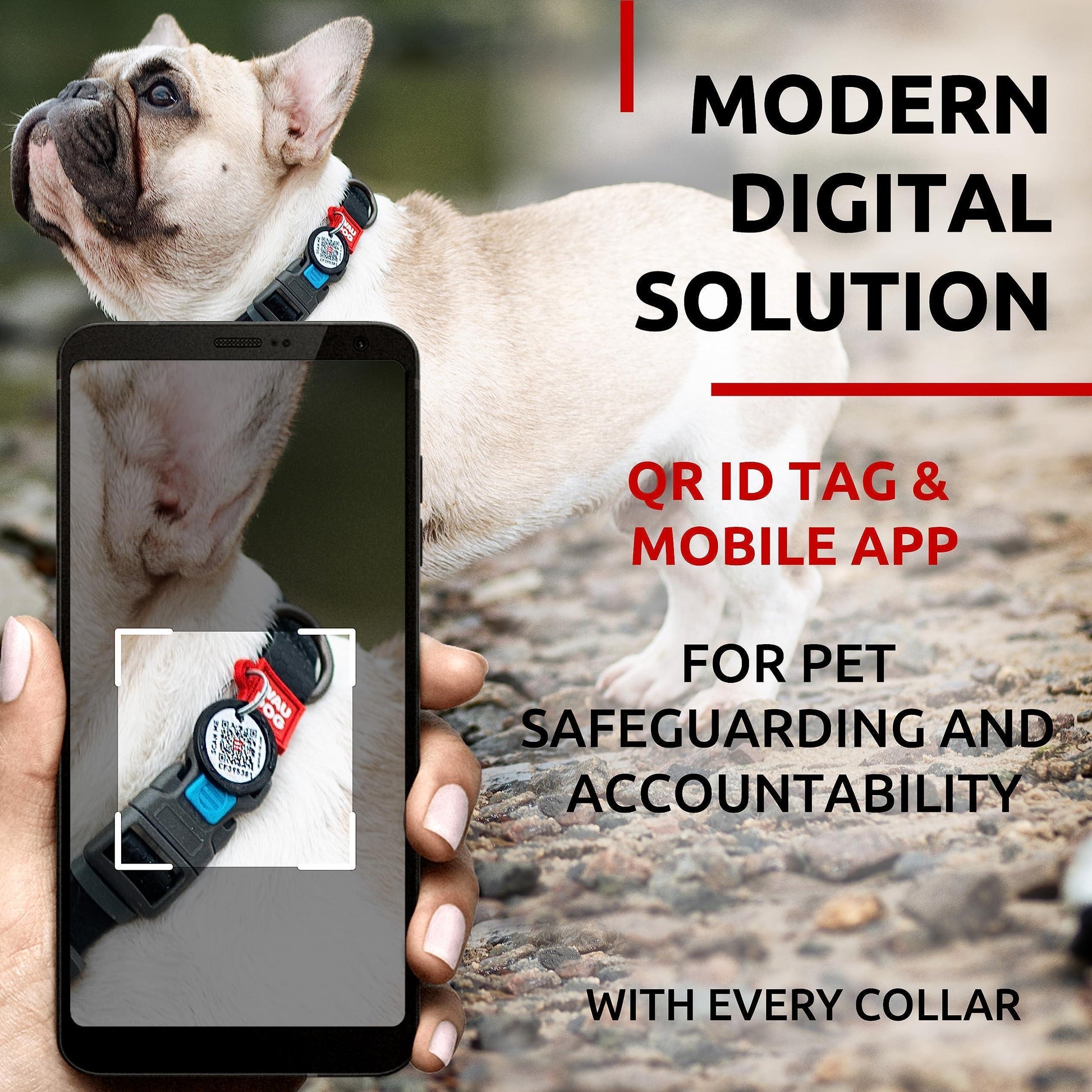 Black Waterproof Dog Collar Adjustable for Medium Dogs 1016 Inch Neck