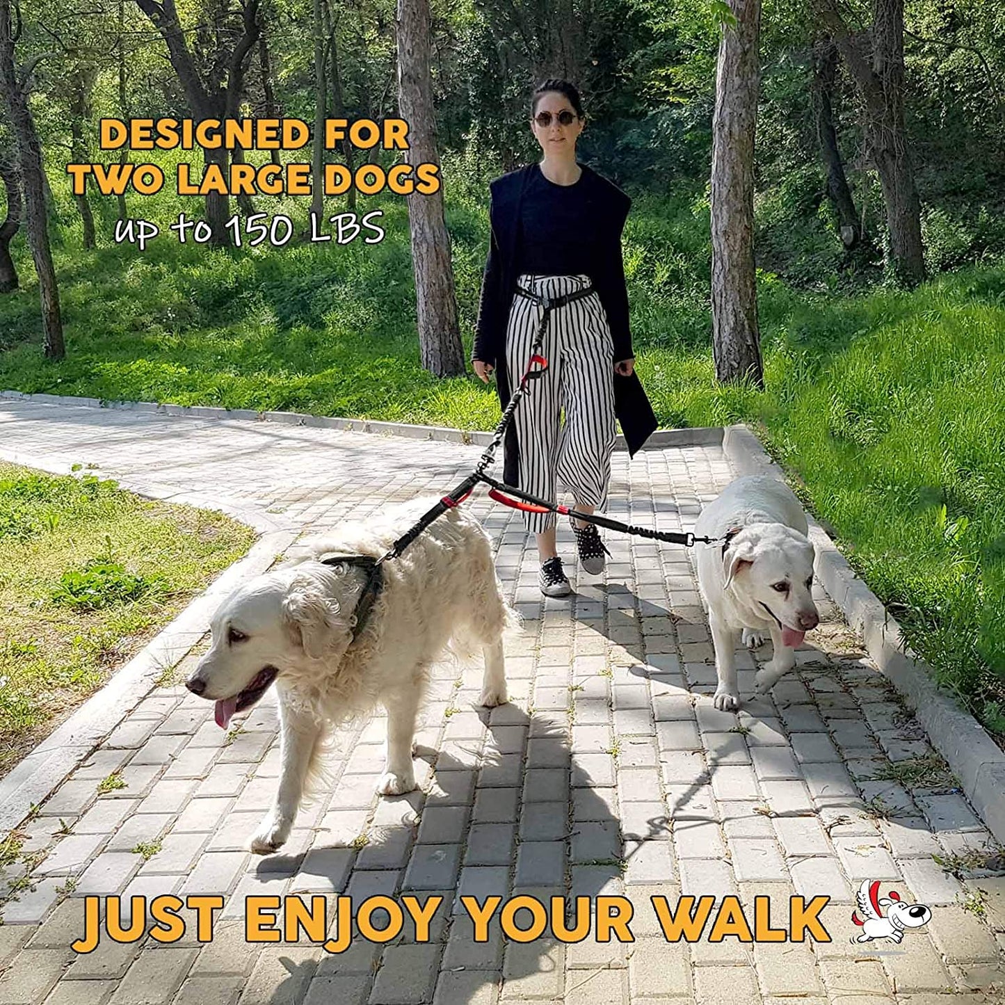 Exquisite Hands-Free Leash for Two Large Dogs – Perfect for Active Pet Owners – Comfortable, Durable & Ideal for Running, Walking, Hiking – Premium Dual Waist Lead with Bungee – Must-Have Dog Gear