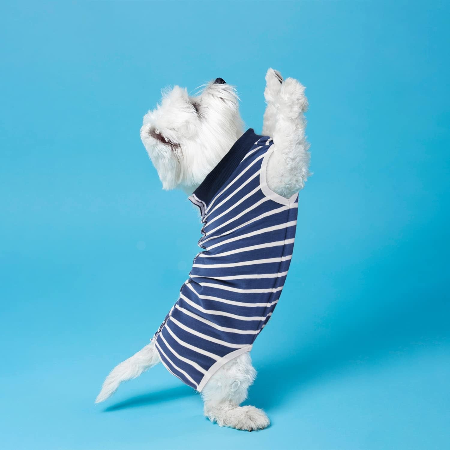 Dog Recovery Suit Cats Bodysuits for Abdominal Wounds Recovery Shirt for Male Female Pet after Surgery Anti-Licking Dog Onesies, Substitute E-Collar & Cone Medium