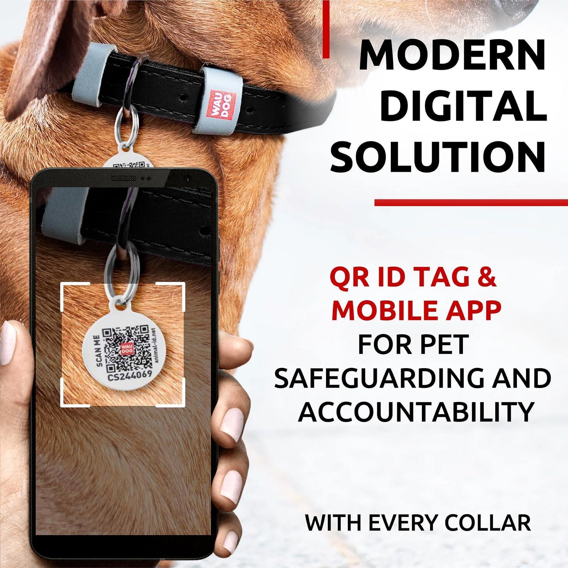 Black Long Lasting Leather Dog Collar for Xsmall Dogs 811 Inch Neck X 0.5 Inch