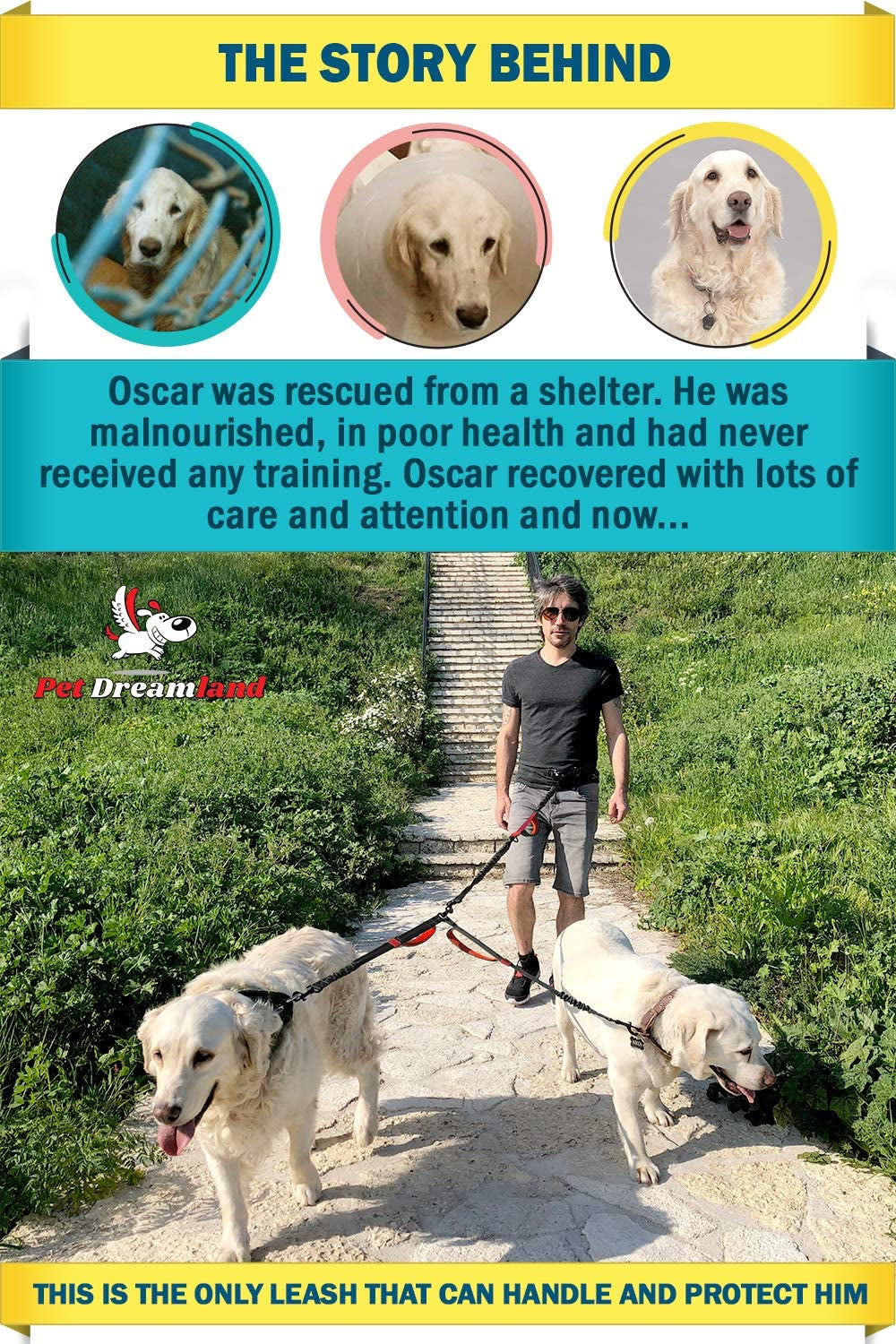 Exquisite Hands-Free Leash for Two Large Dogs – Perfect for Active Pet Owners – Comfortable, Durable & Ideal for Running, Walking, Hiking – Premium Dual Waist Lead with Bungee – Must-Have Dog Gear