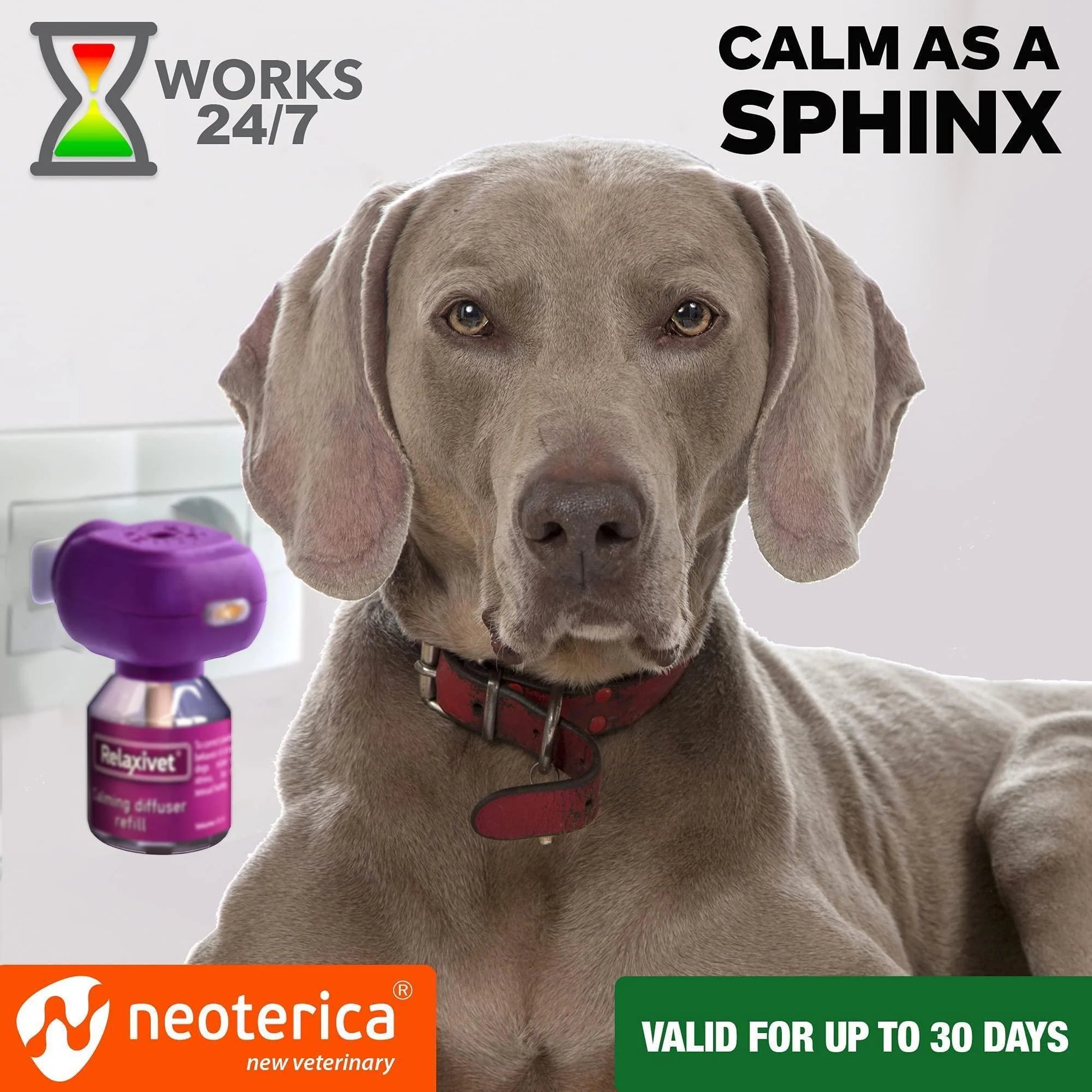 Dog Calming Pheromone Diffuser Refill 2 Pack Improved in Germany anti Anxiety