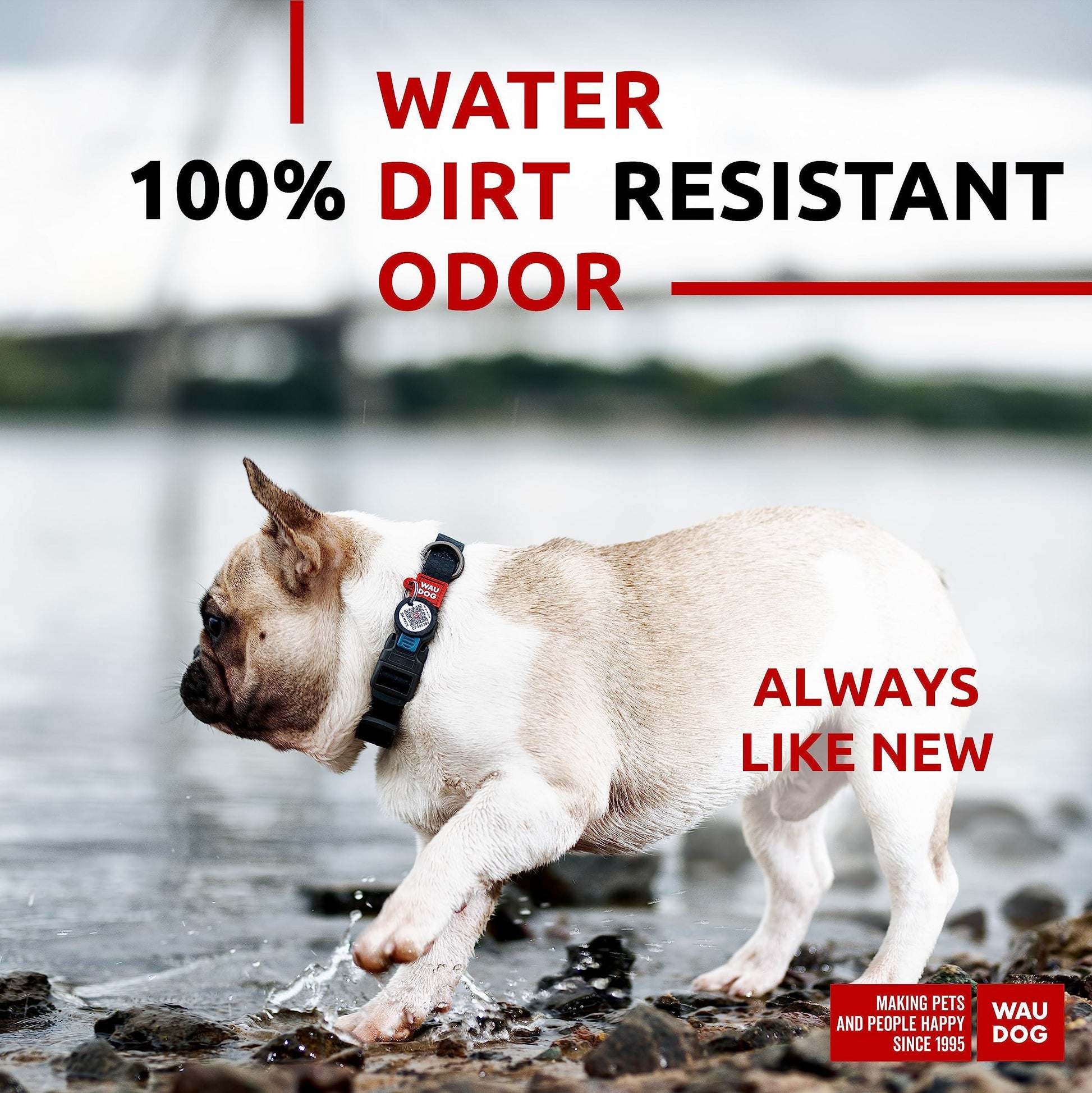 Black Waterproof Dog Collar Adjustable for Medium Dogs 1016 Inch Neck